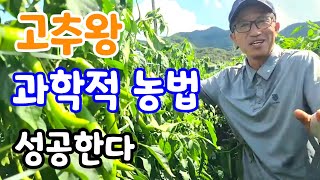 청양 고추왕이 알려주는 과학적 농법! 배워야 성공한다  고추 농사가 쉬워진다