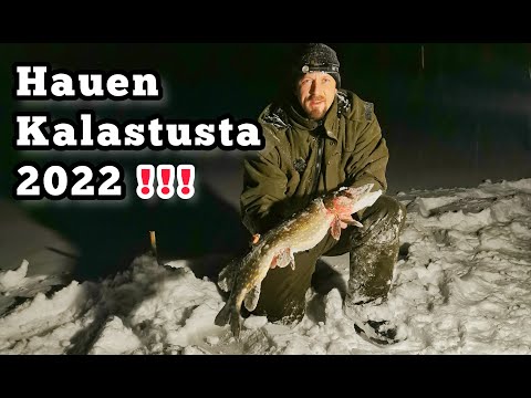 Hauen kalastusta -- Iskukoukkukalastus