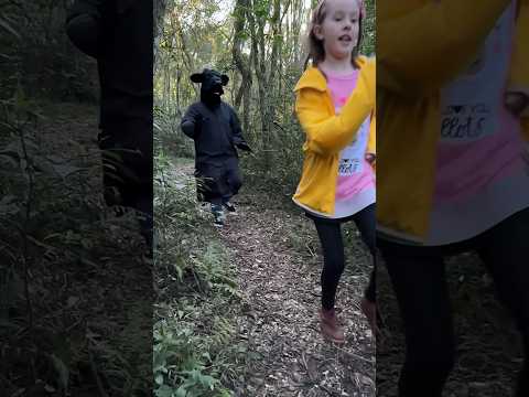 FUGIMOS DO BOI DA CARA PRETA #boidacarapreta #clubinhodojoaquim