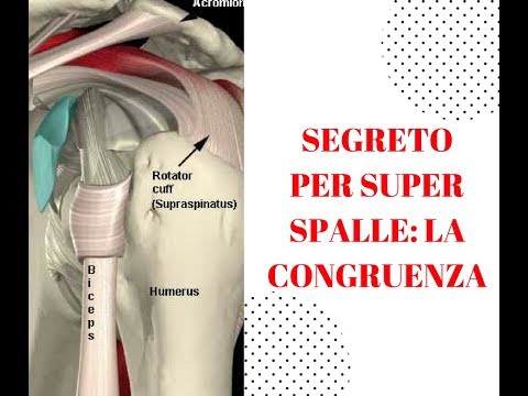Cerotto Nano di dolori articolari Che per trattare il dolore al dorso in mezzo alla schiena