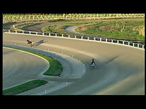 Trotto 27/12/2020 - 2ª prova di qualifica