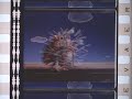 24th International Tournee Of Animation Trailer 1993 35mm Flat Mono UHD