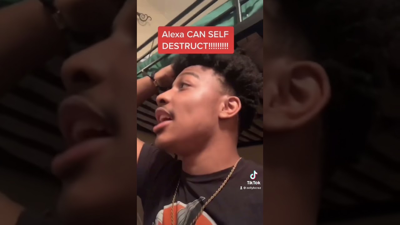 Alexa Echo Dot  can self destruct