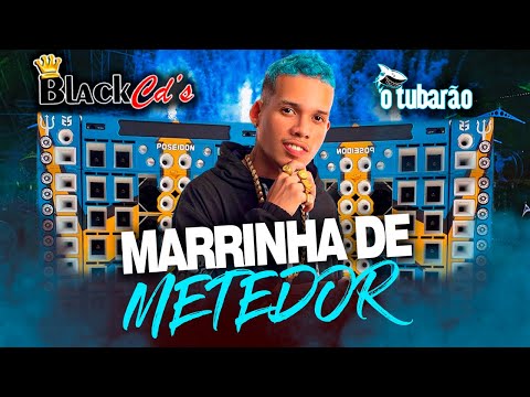 O tubarão feat mc bob anne - marrinha de metedor ( bregadeira 2023 )