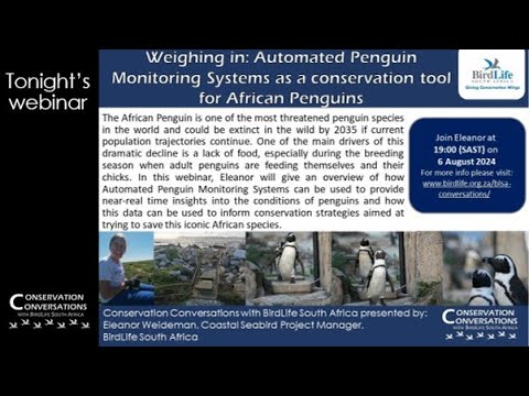 Conservation Conversations: Automated Penguin Monitoring System - Eleanor Weideman (06Aug24)