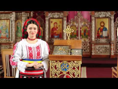 Lavinia Maria Chifor - Un singur dor