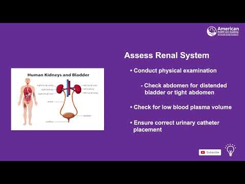Chapter 7 - Part 2 - PALS Training by American Health Care Academy