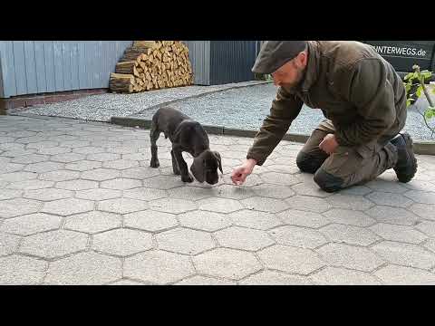 Olaf und das "Nein" 1