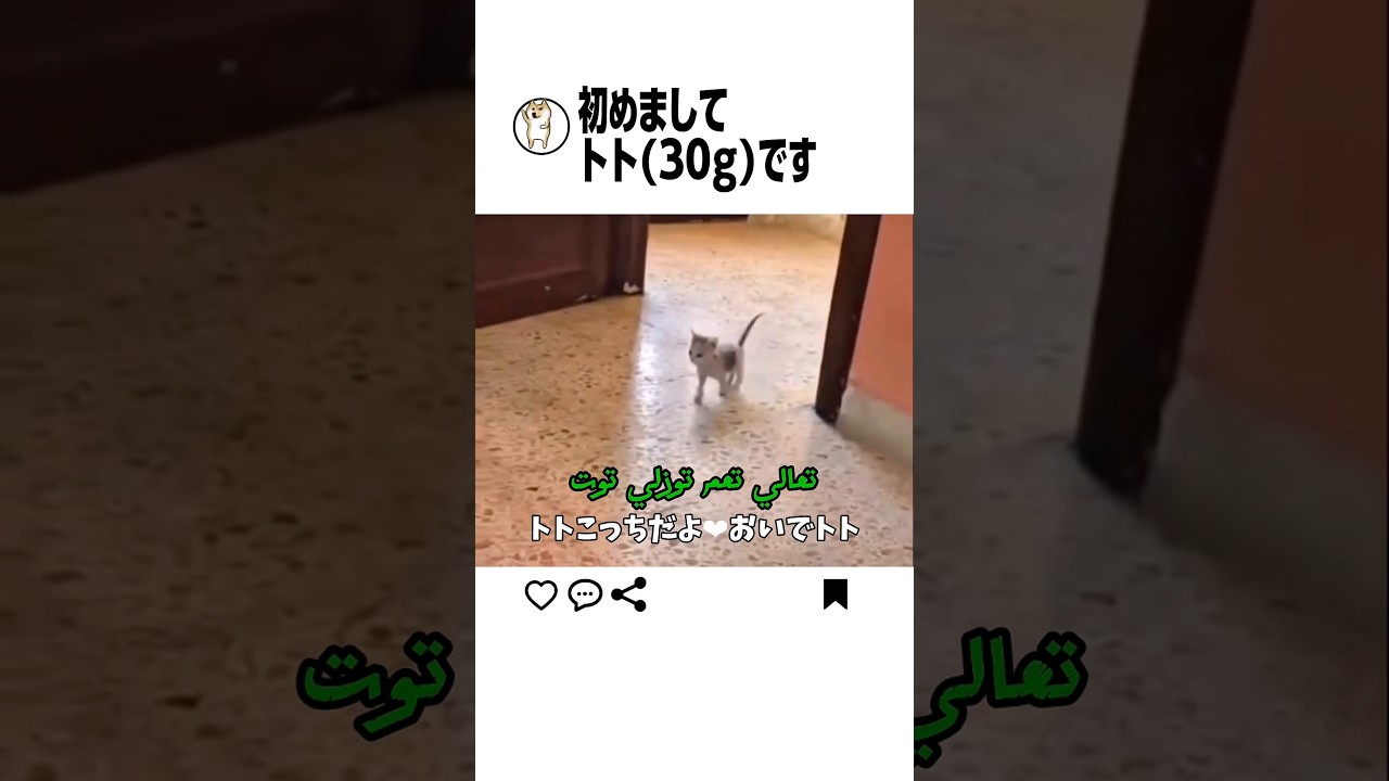 体重だけでも覚えて帰ってください