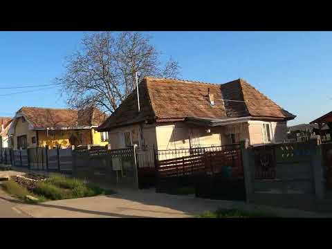 Cros Alergăreții Triteni Colonie Tritenii de Sus Tritenii de Jos Triteni Colonie 15 km