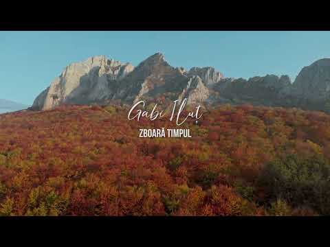 Zboară timpul - Gabi Ilut