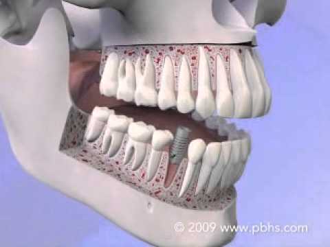 Carime Yule Wagner-20