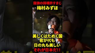 【参政党】梅村みずほ「不届き者は許すまじ！君が代も日の丸も美しい」#参政党#梅村みずほ#神谷宗幣#国旗損壊罪#日の丸#しばき隊#左翼#妨害