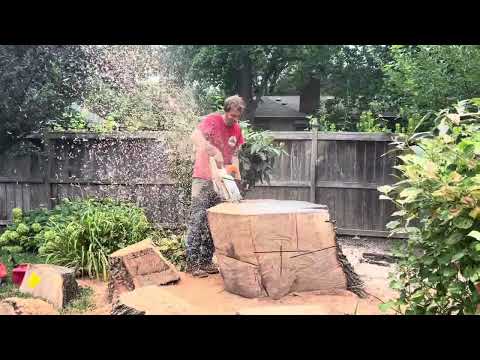 Huge Tree Stump Removal in Prairie Village, KS
