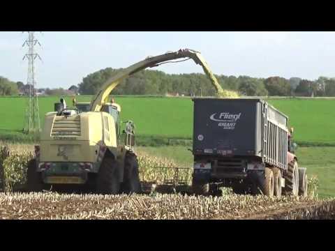 Loonw. Agriminon - Braine-le-Château