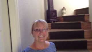 Two Miniature Schnauzers - Dog Training of Fort Myers - Patrick Logue