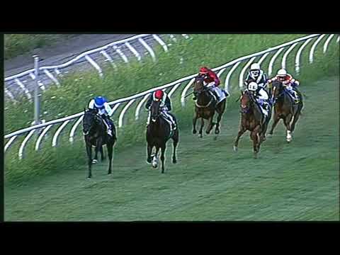 Galoppo 26/06/2020 - 5ª corsa