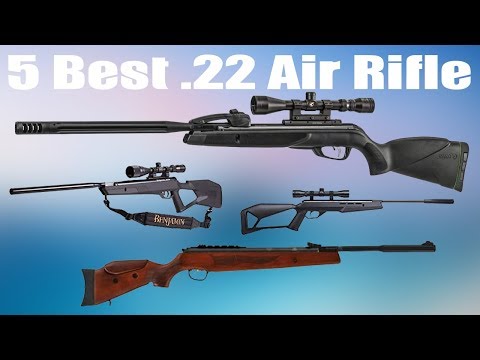 Top 5 Best .22 Air Rifle Under $300 2020