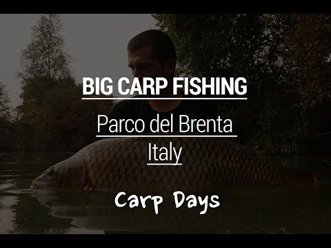 Big Carp fishing - Parco del Brenta 2017, Carpdays.com + English subs