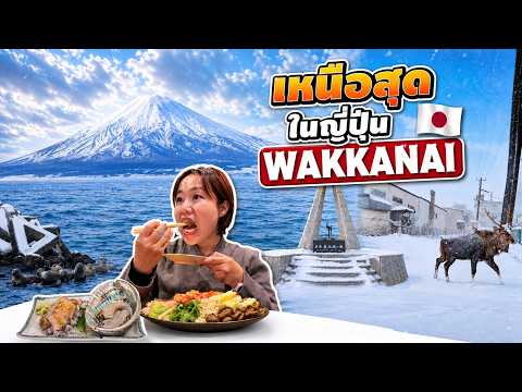 Hokkaido Guide | สุดขอบญี่ปุ่น Wakkanai & เกาะริชิริ เหนือสุดในญี่ปุ่น | Winter