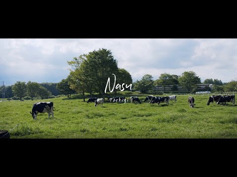 「Nasu Tochigi　～Feel Healing～　那須高原の朝食 15sec.」