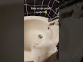 Michael Jackson BIDET