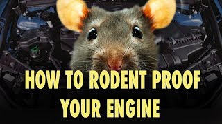 How to Rodent Proof Your Engine - The Easy Way