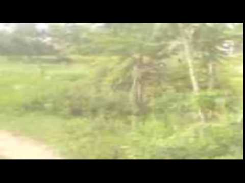 Gaming - gaming 24ge 2qe 4k - 2 gaming rigs 1 tower (Top Tips)(012962)