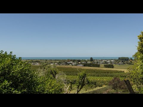 81 Hill Road, Bay View, Napier, Hawkes Bay, 4 bedrooms, 3浴, House