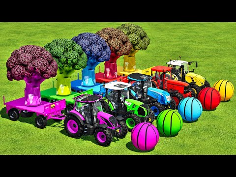 CLAAS vs CASE vs JOHN DEERE vs MCCORMICK vs FENDT TRACTORS BATTLE WITH BROCCOLI - Farming