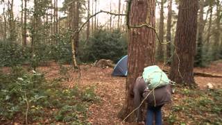 The Clearing In the Woods by  Kathryn Adderley