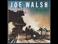 Joe Walsh:-'Here We Are Now'