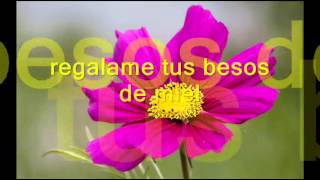 Prision de amor   Bronco