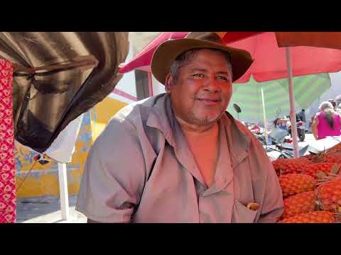 Feira com Fartura olho d’Água das Flores - AL 23 - 11 - 2025 #nordeste