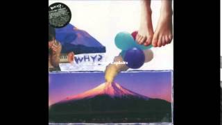 Why? - Fall Saddles
