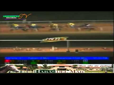 SANTA RITA 3 CARRERA VIERNES 28 DE FEBRERO DEL 2014