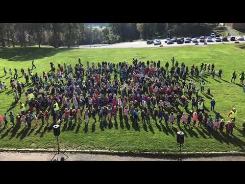 BliMe-dansen 2017 i Halden