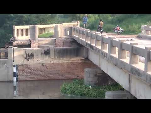 dog so wala Nahar ke andar khelte Hain