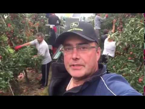 FRUMACO TECNOFRUIT PLUK-O-TRAK CF105