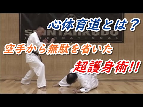 心体育道 極真はじめフルコンタクト空手の無駄を省いた超護身術！ ShinTaiikido Hirohara. Ashihara. Kyokushin.