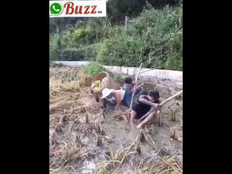 Don't Try to laugh...... Whatsappbuzz