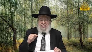דף היומי בחצי שעה – בבא מציעא דף קי״ג