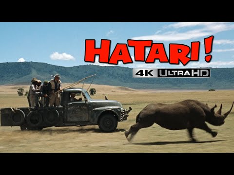 Hatari! - Rhino Chase | 4K HDR | High-Def Digest
