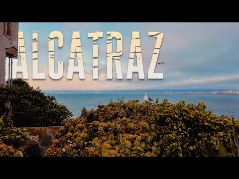 ALCATRAZ | Milestone No. 3 | 2025