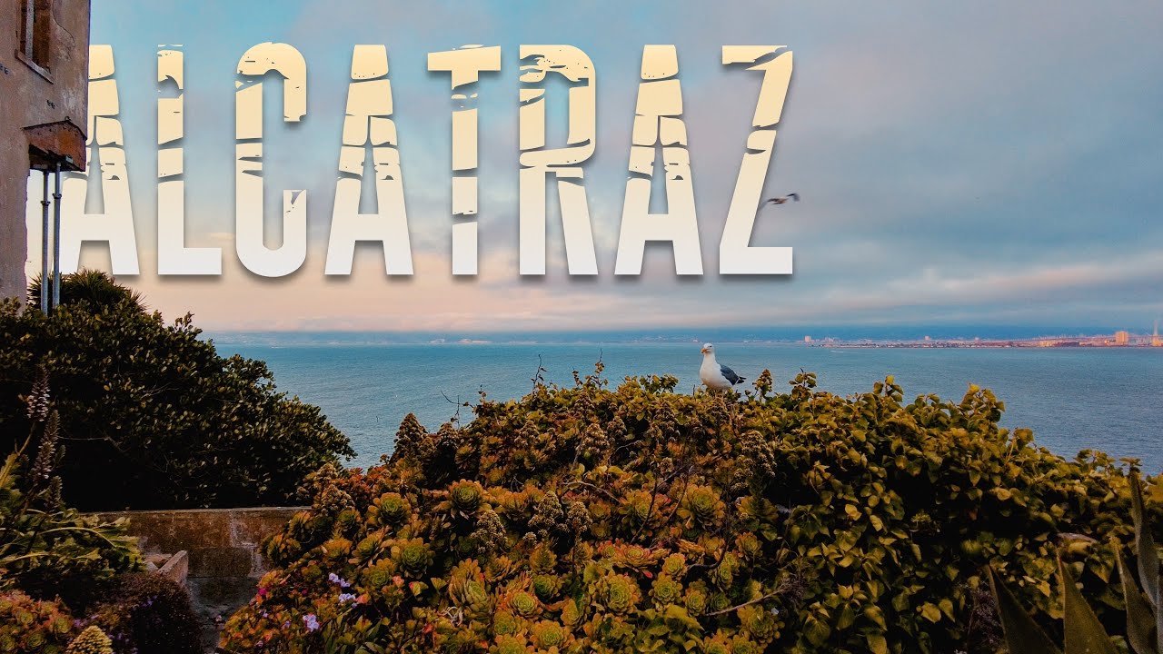 ALCATRAZ | Milestone No. 3 | 2025