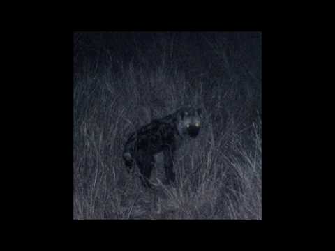 04. HNRK - Ruheort [resting place]