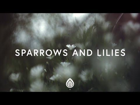 Thumbnail for You Know What I Need video