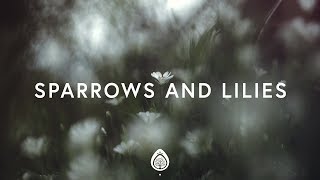 Sparrows And Lilies Music Video