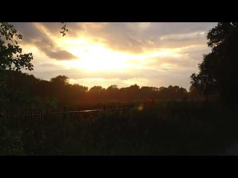 Alan Erickson - Printemps (demo)