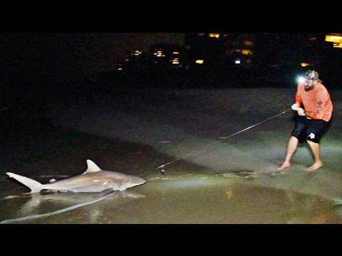 Shark Fishing Battle | Dude Perfect